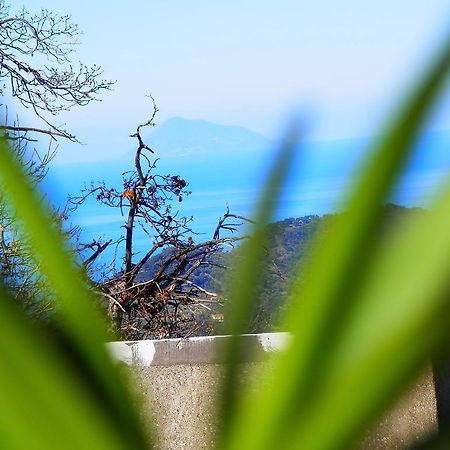 Bed and Breakfast Al Fakhar Ficarra Экстерьер фото